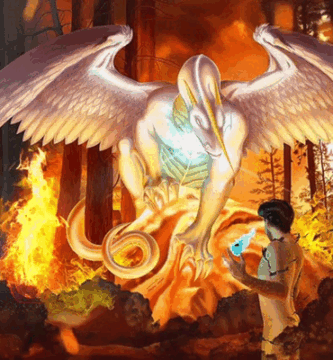 dragon fire spellcaster battle wildfire