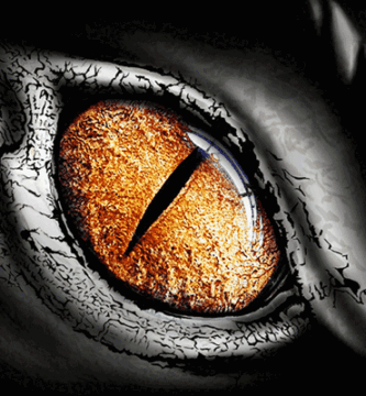 yellow dragon eye on black background blinking